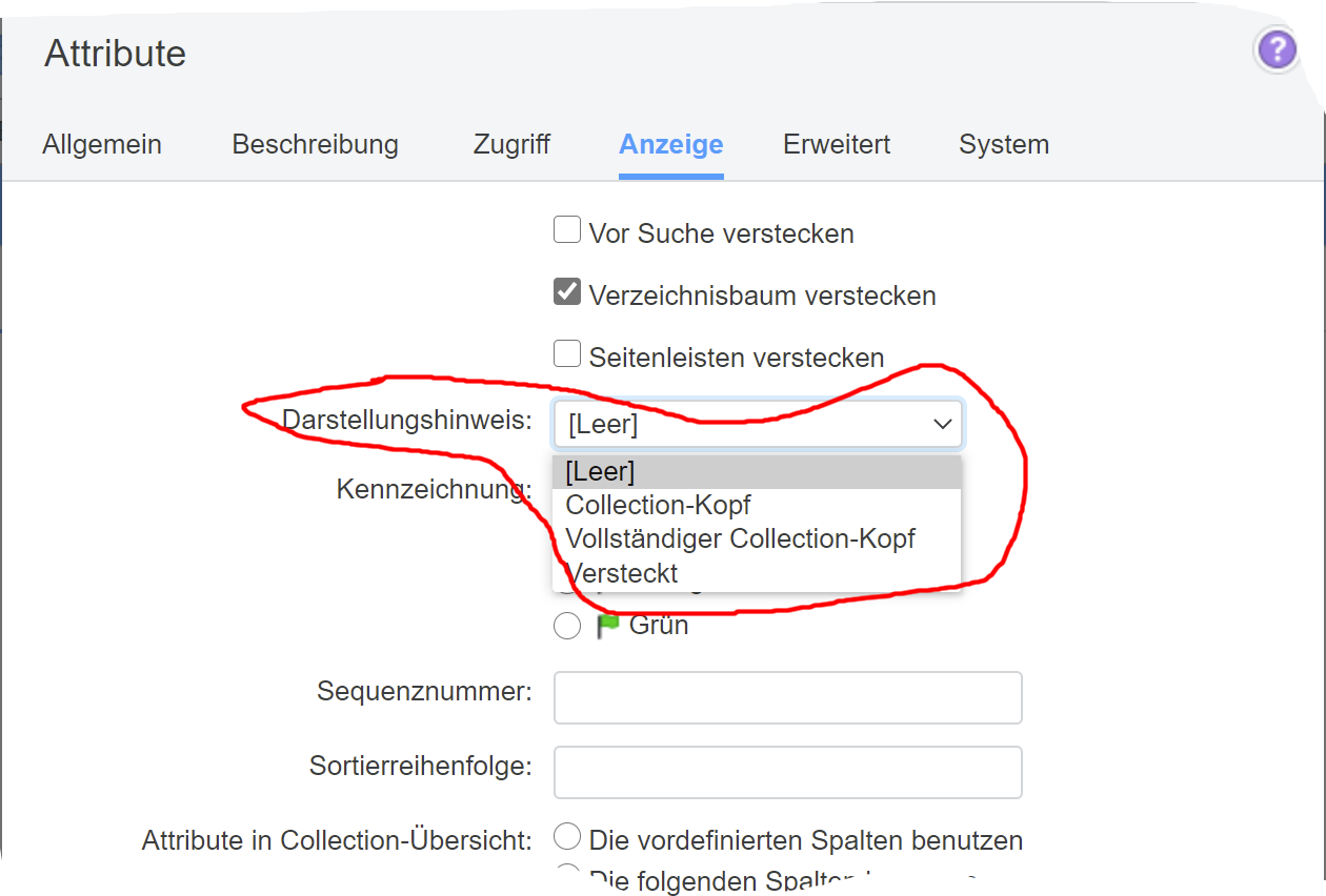 Auswahl Anzeigeattribut